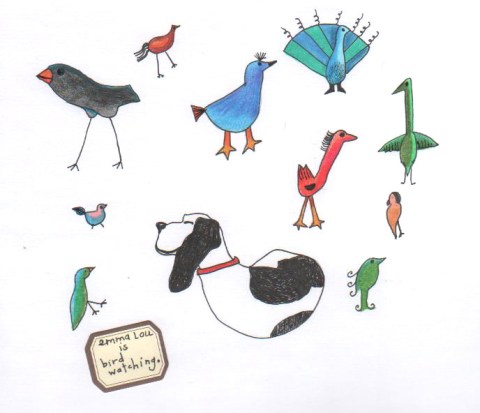 birdwatching