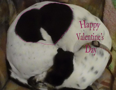 valentinesday2
