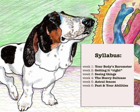 mtfortunesyllabus