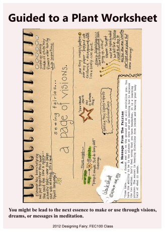 guided to a plant copy