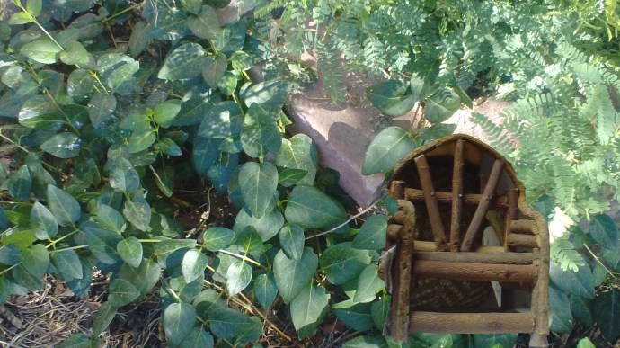 fairychair4use