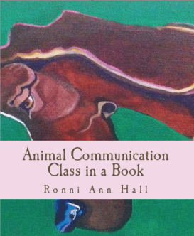 Screen Shot 2013-06-09 at 11.03.49 AM