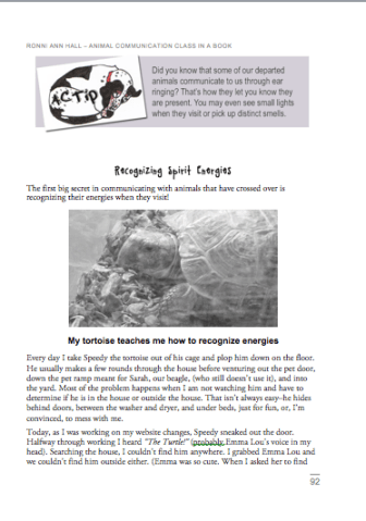 Screen Shot 2013-07-10 at 11.43.09 AM