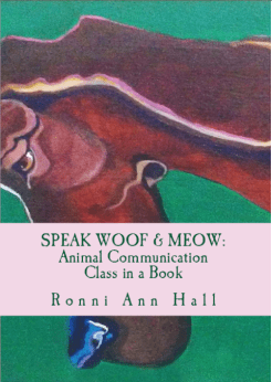 Screen Shot 2013-07-24 at 8.04.25 PM