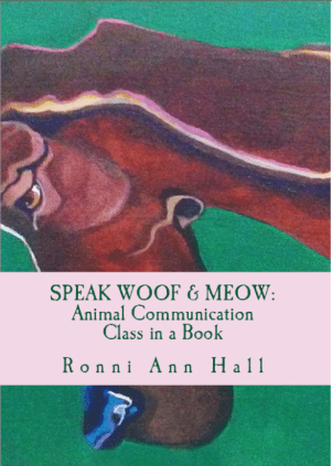 Screen Shot 2013-07-24 at 8.04.25 PM