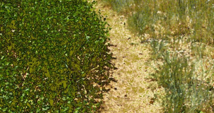 fairytrail