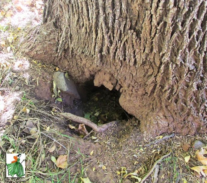 fairydoorfive