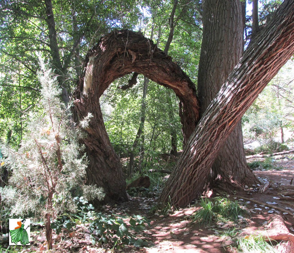 fairydoorone