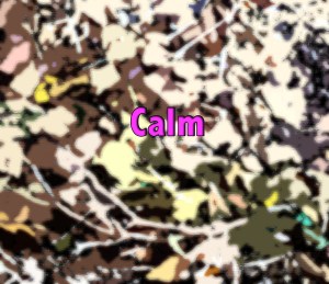 calm