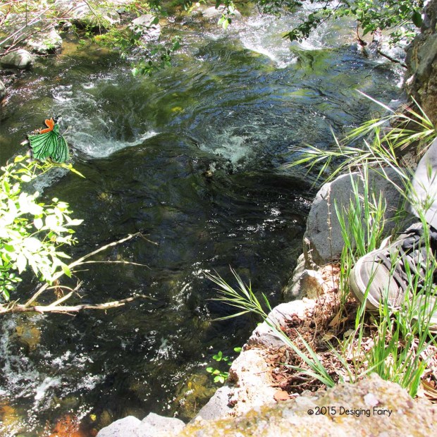 nature2
