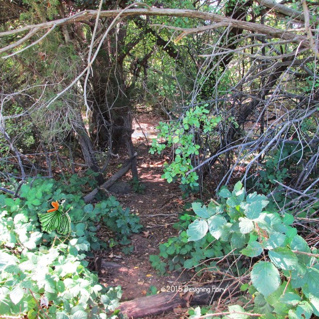 nature3